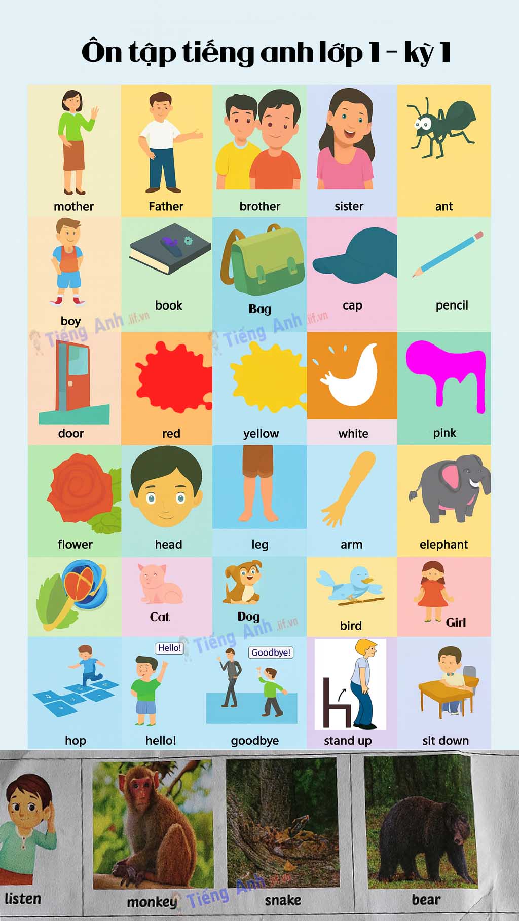 &ocirc;n tập tiếng anh lớp 1